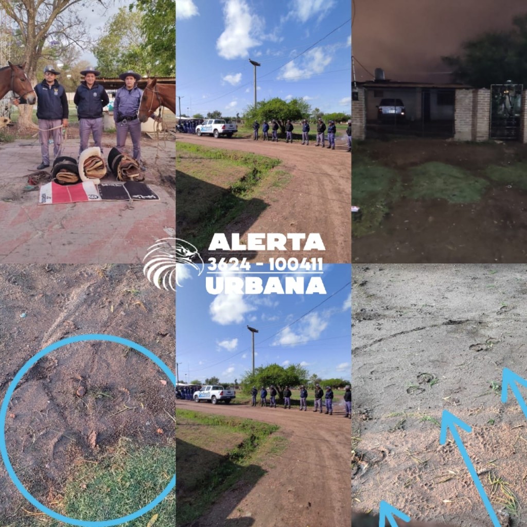 Tormenta, tiros y cuatreros: dispararon contra la dueña del predio y contra los efectivos en allanamientos