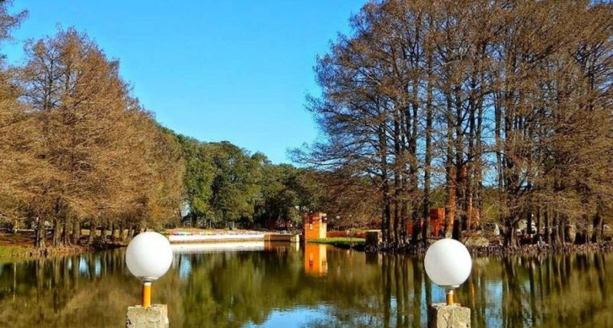 Cielo despejado y una máxima de 27° para este domingo 