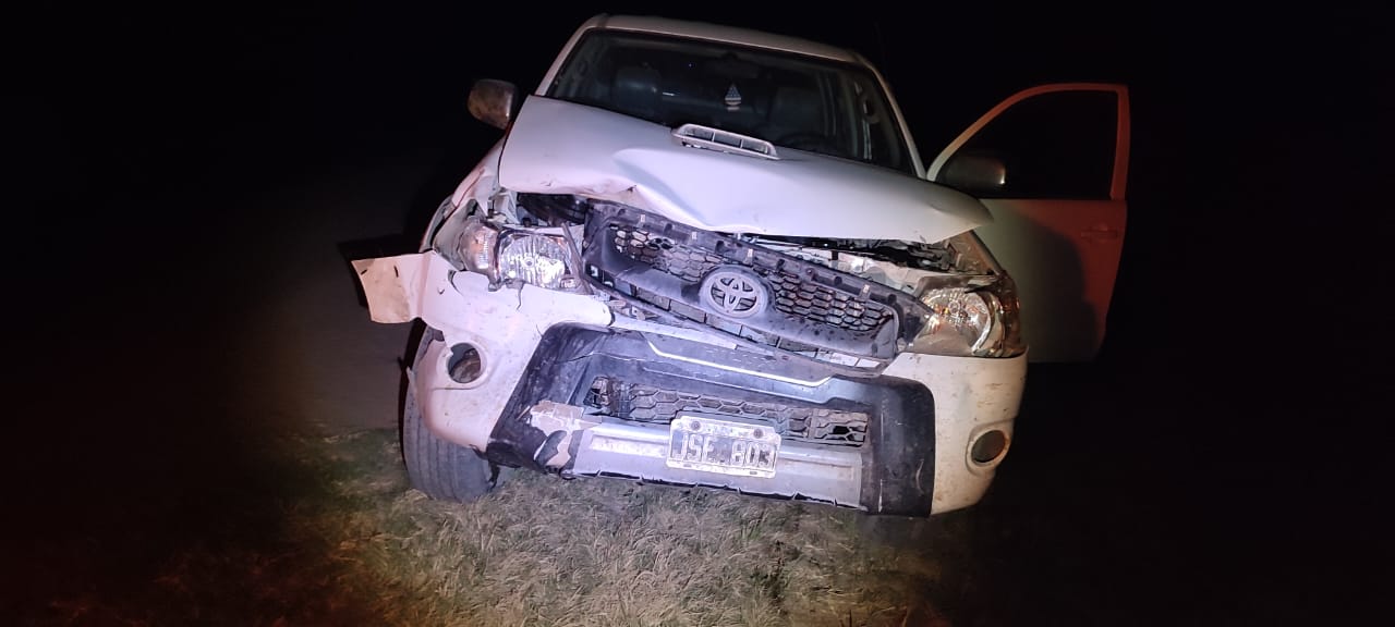 Colisionó un animal y resultó ileso