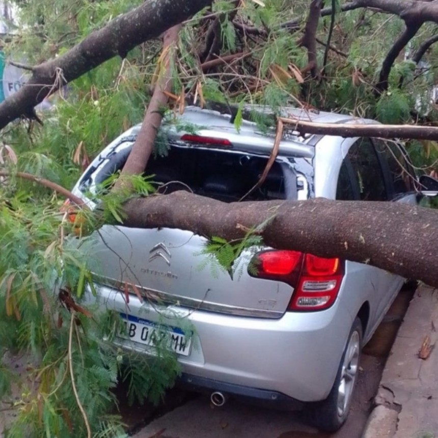 Un árbol destrozó un automóvil luego de la tormenta de anoche 