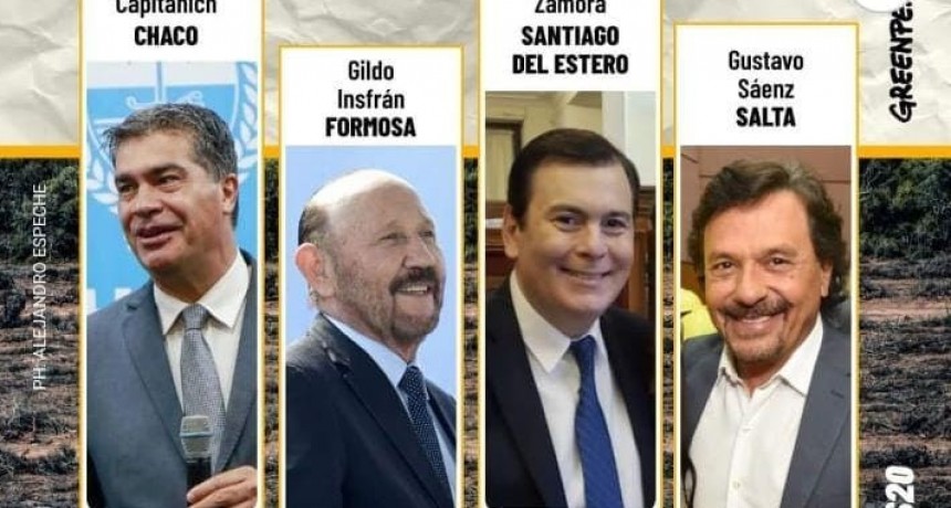 El 75% de la deforestación se produjo tan sólo en cuatro provincias